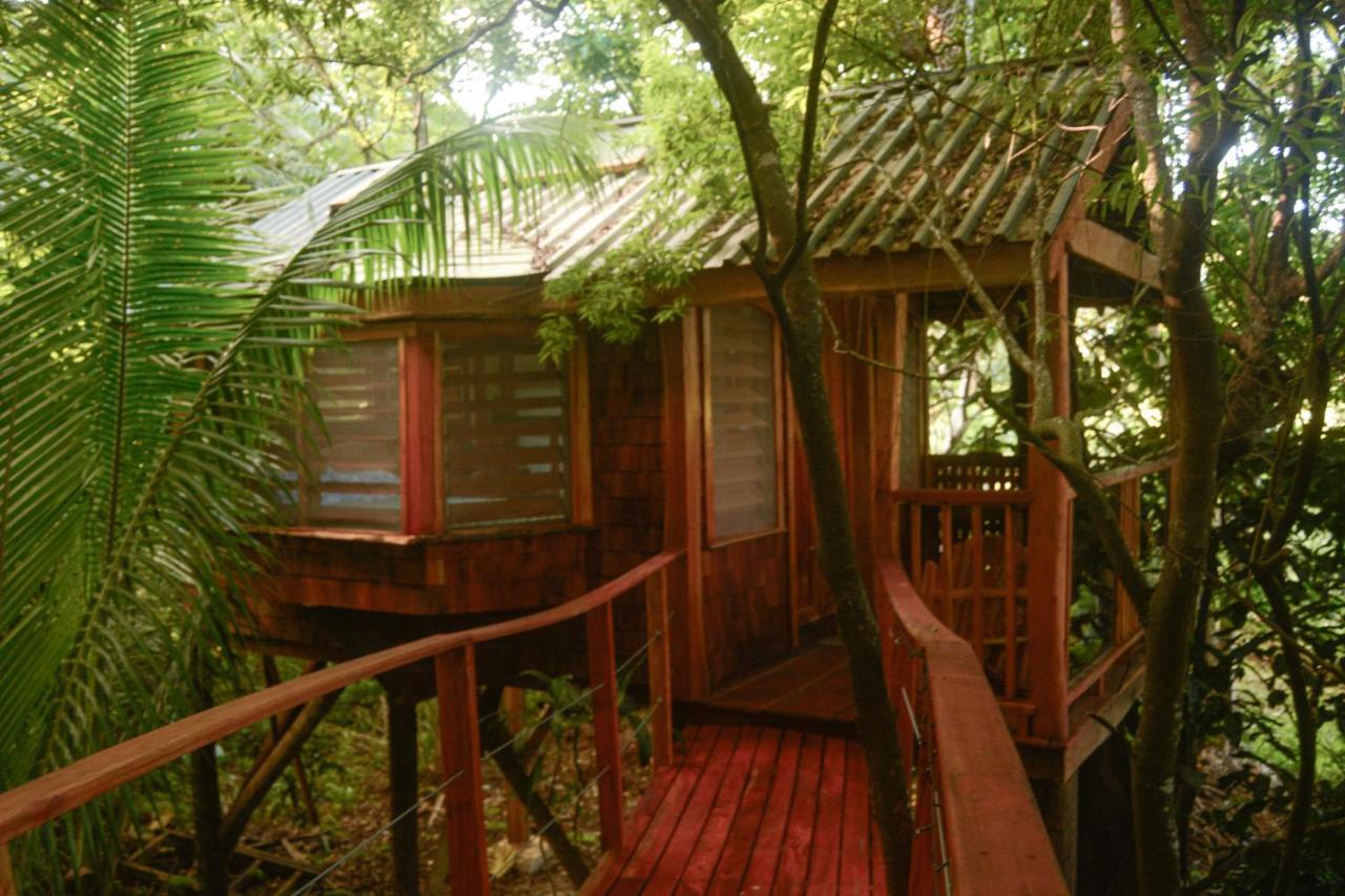 Tukulolo Treehouses Makaunga Dış mekan fotoğraf