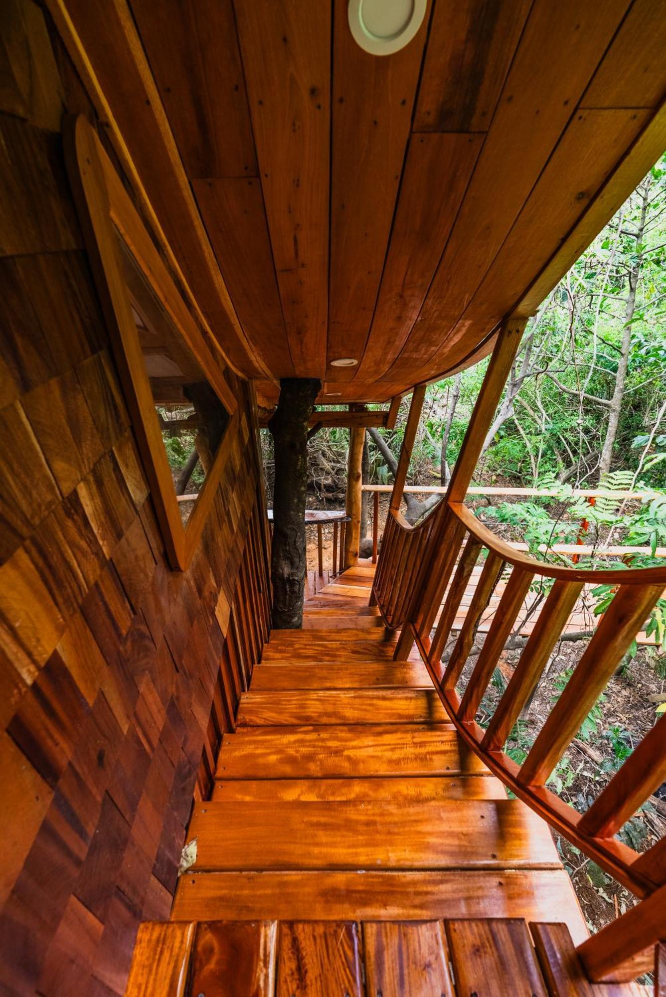 Tukulolo Treehouses Makaunga Dış mekan fotoğraf