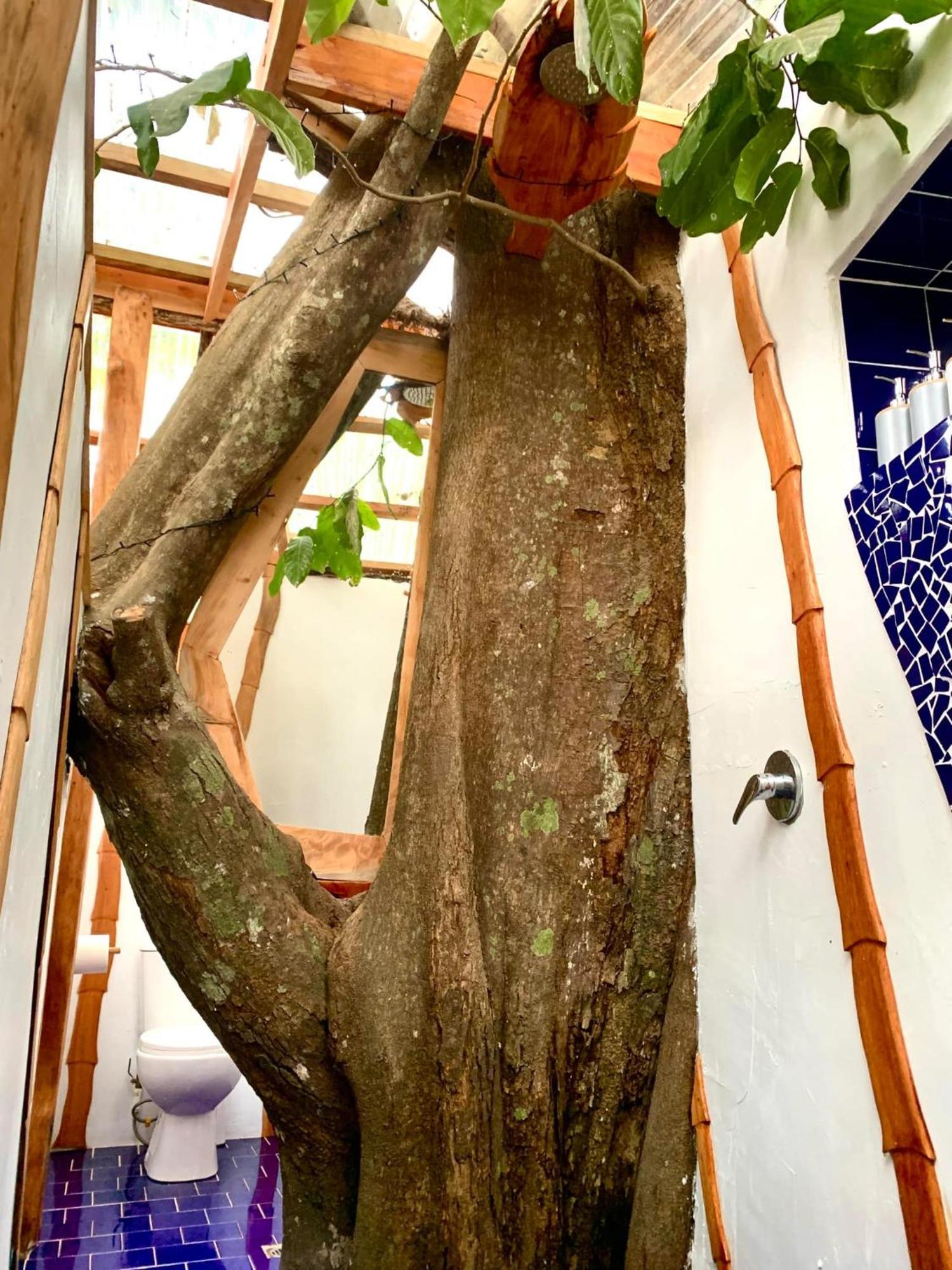 Tukulolo Treehouses Makaunga Dış mekan fotoğraf
