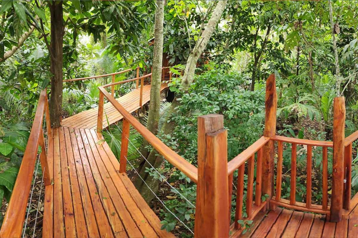 Tukulolo Treehouses Makaunga Dış mekan fotoğraf